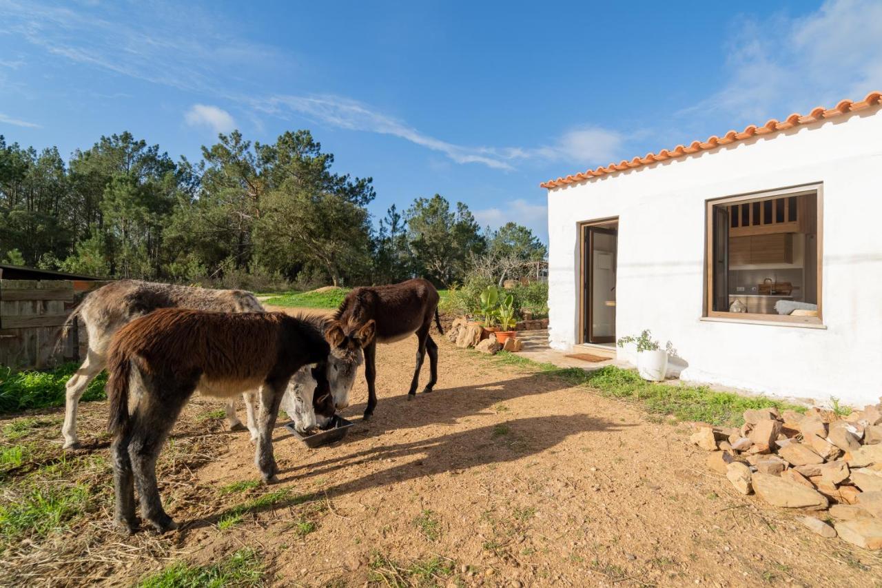 Appartamento Casa Da Paz Aljezur Esterno foto