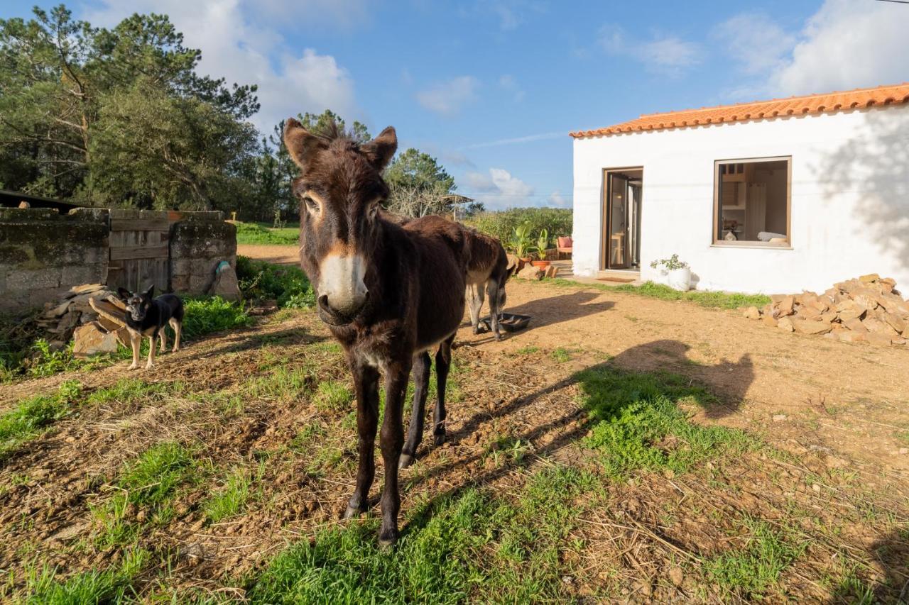 Appartamento Casa Da Paz Aljezur Esterno foto