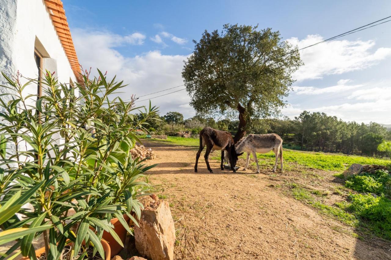 Appartamento Casa Da Paz Aljezur Esterno foto